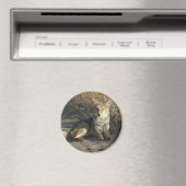 R19 Coyote Liggend Magneet (Insitu (Vaatwasser))