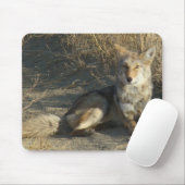 R19 Coyote Liggend Muismat (Met muis)