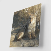 R19 Coyote Liggend Vierkante Klok (Hoek)