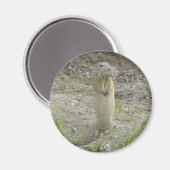 R1 Gopher Richardson's Grondeekhoorn Magneet (Voorkant / Achterkant)