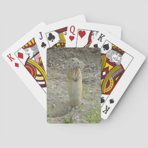 R1 Richardson's Grond Eekhoorn Pokerkaarten