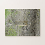 R1 Richardsons Grondsquirrel Gopher Legpuzzel (Horizontaal)