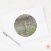 R1 Richardson's Grondsuil Ronde Sticker (Envelop)