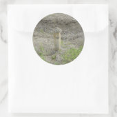R1 Richardson's Grondsuil Ronde Sticker (Tas)