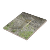 R1 Richardson's Ground Squirrel beroemd gemaakt do Tegeltje (Zijkant)