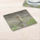 R1 Richardson's Ground Squirrel (Gopher) Kartonnen Onderzetters (Schuin)