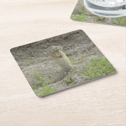 R1 Richardson's Ground Squirrel (Gopher) Kartonnen Onderzetters (Schuin)