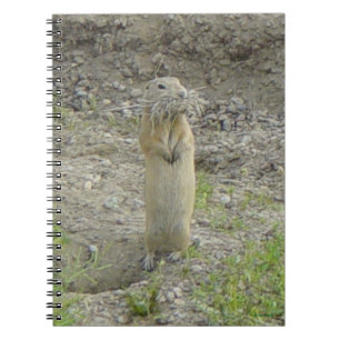 R1 Richardson's Ground Squirrel Notitieboek