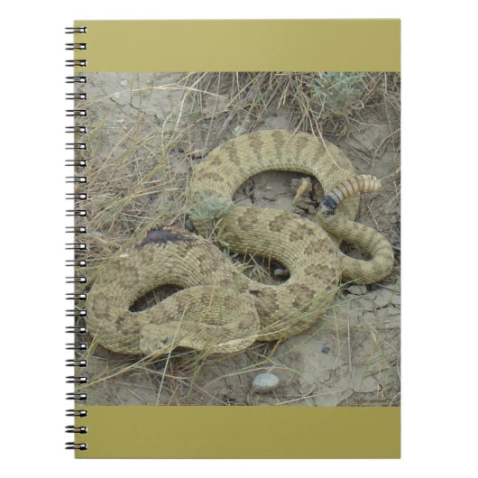 R20 Prairie Ratelslang Gewond Notitieboek (Voorkant)