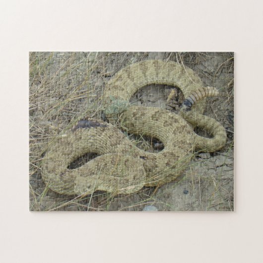 R20 Prairie Ratelslang Legpuzzel (Horizontaal)