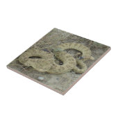 R20 Prairie Ratelslang Tegeltje (Zijkant)