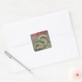 R20 Prairie Ratelslang Vierkante Sticker (Envelop)