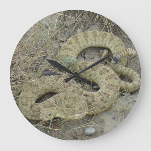 R20 Prairie Rattlesnake Grote Klok (Voorkant)