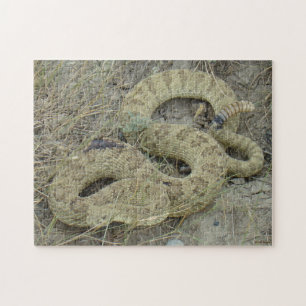 R20 Prairie Rattlesnake Legpuzzel