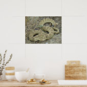 R20 Prairie Rattlesnake Poster (Keuken)
