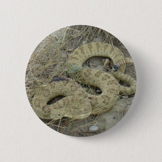 R20 Prairie Rattlesnake Ronde Button 5,7 Cm (Voorkant)