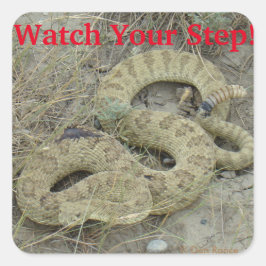 R20 Prairie Rattlesnake Vierkante Sticker