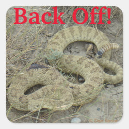 R20 Prairie Rattlesnake Vierkante Sticker