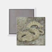 R20 Prairie Rattlesnake Wond Magneet (Voorkant / Achterkant)