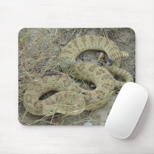 R20 Prairie Rattlesnake Wond Muismat (Met muis)