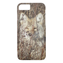 R21 Coyote "Je bekijken"