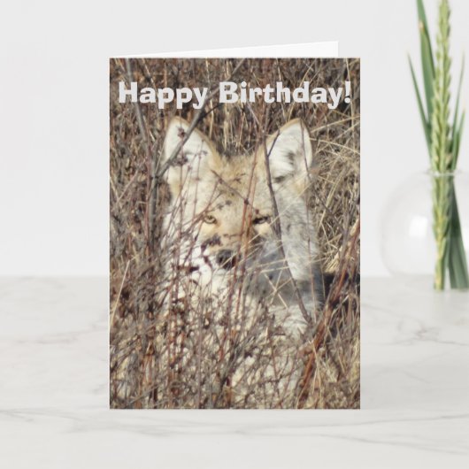 R21 Coyote "Je bekijken" Kaart (Voorkant)