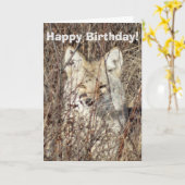 R21 Coyote "Je bekijken" Kaart (Gele Bloem)