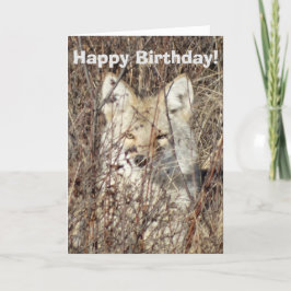 R21 Coyote "Je bekijken" Kaart