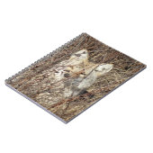 R21 Coyote "Je bekijken" Notitieboek (Linkerzijde)