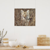 R21 Coyote "Je bekijken" Poster (Keuken)
