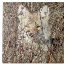 R21 Coyote "Je bekijken" Tegeltje