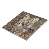 R21 Coyote "Je bekijken" Tegeltje (Zijkant)