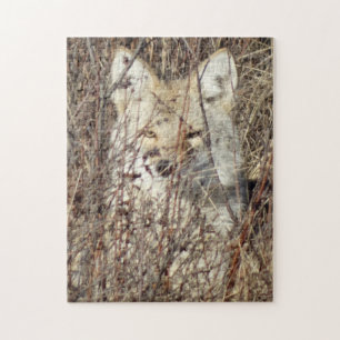 R21 Coyote "Kijkt naar je" Legpuzzel