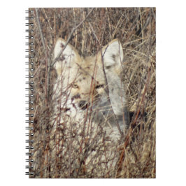R21 Coyote "Kijkt naar je" Notitieboek