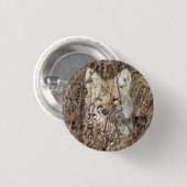 R21 Coyote kijkt naar u Ronde Button 3,2 Cm (Voorkant /achterkant)