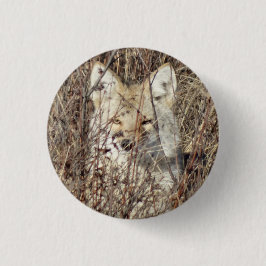 R21 Coyote kijkt naar u Ronde Button 3,2 Cm
