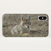 R22 Coyote Laying Case-Mate iPhone Case (Achterkant (horizontaal))