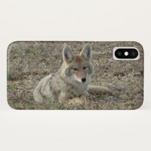 R22 Coyote Laying iPhone X Hoesje