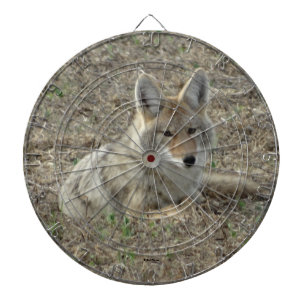 R22 Coyote Laying Dartbord