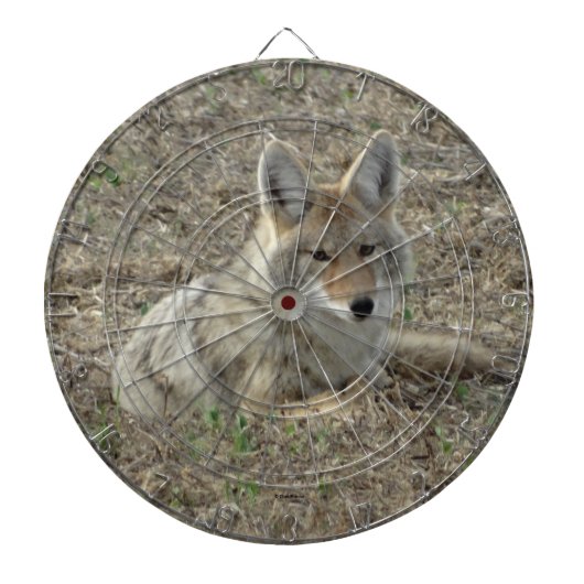 R22 Coyote Laying Dartbord (Voorkant)