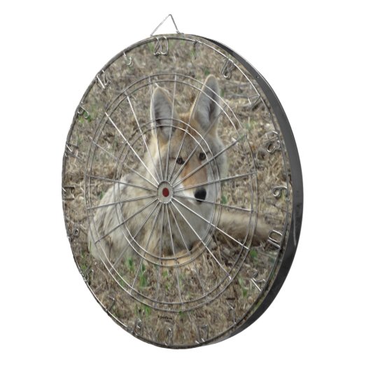 R22 Coyote Laying Dartbord (Voorkant Rechts)