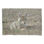 R22 Coyote Laying Kussensloop (Voorkant)