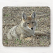 R22 Coyote Laying Muismat (Voorkant)