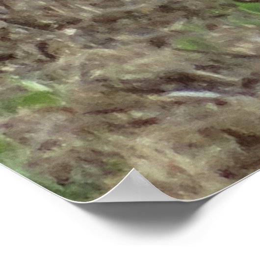 R22 Coyote Laying Poster (Hoek)