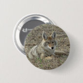 R22 Coyote Laying Ronde Button 5,7 Cm (Voorkant /achterkant)