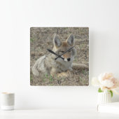 R22 Coyote Laying Vierkante Klok (Huis)
