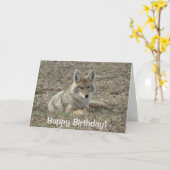R22 Coyote Liggend Kaart (Gele Bloem)