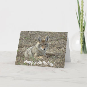 R22 Coyote Liggend Kaart