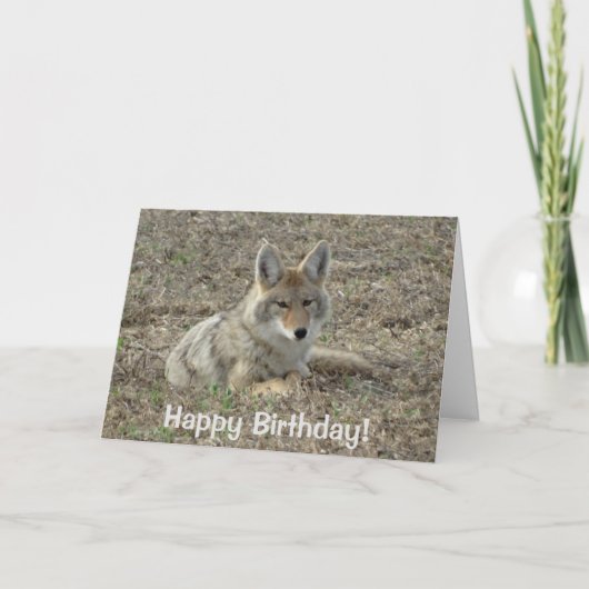 R22 Coyote Liggend Kaart (Voorkant)