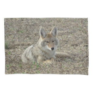 R22 Coyote Liggend Kussensloop